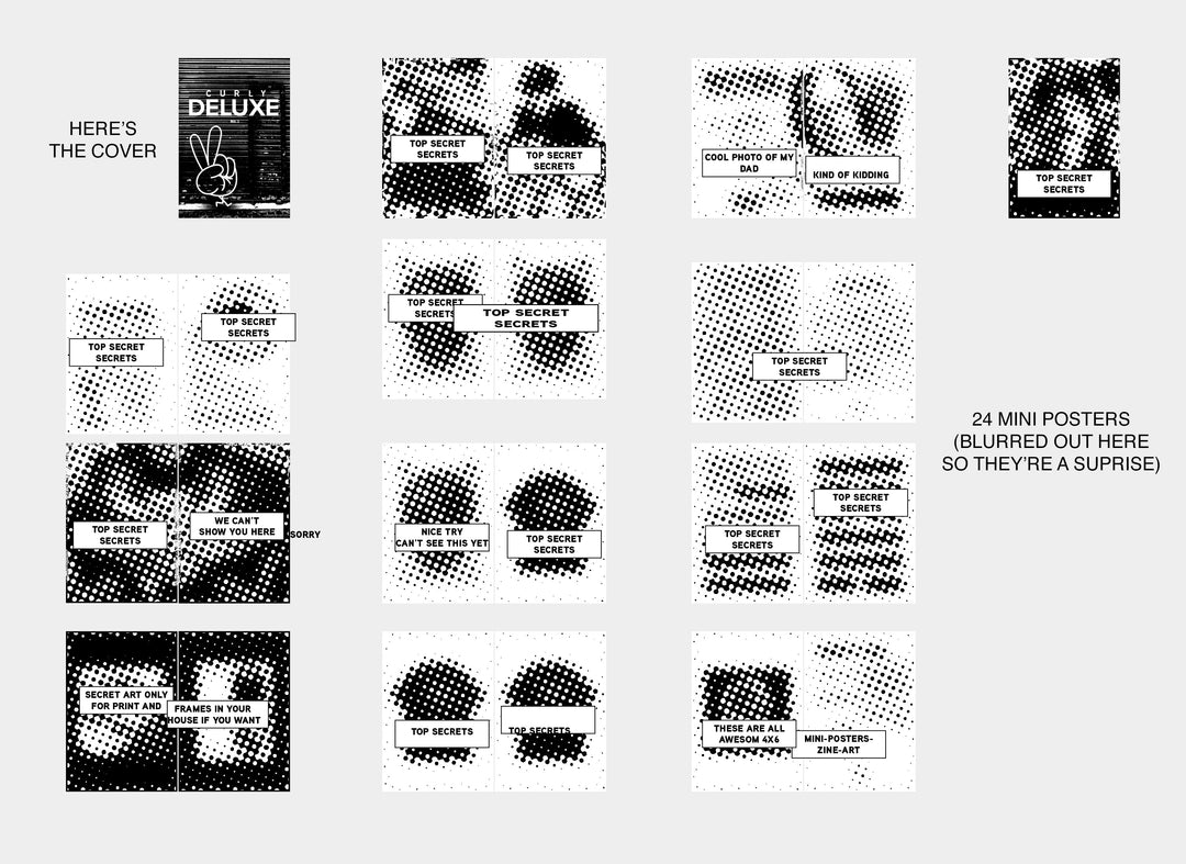 Curly No. 1 - Screen Printed Zine